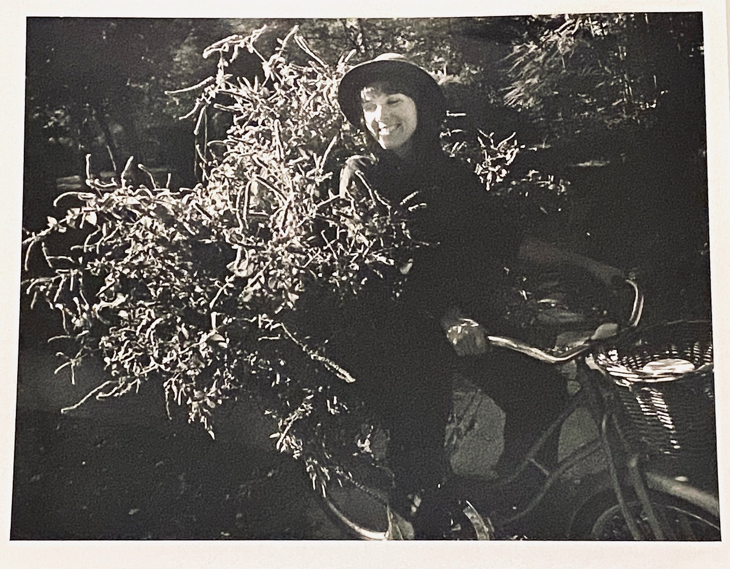 🌿 Healing Roots: A Mother’s Legacy in Every Jar