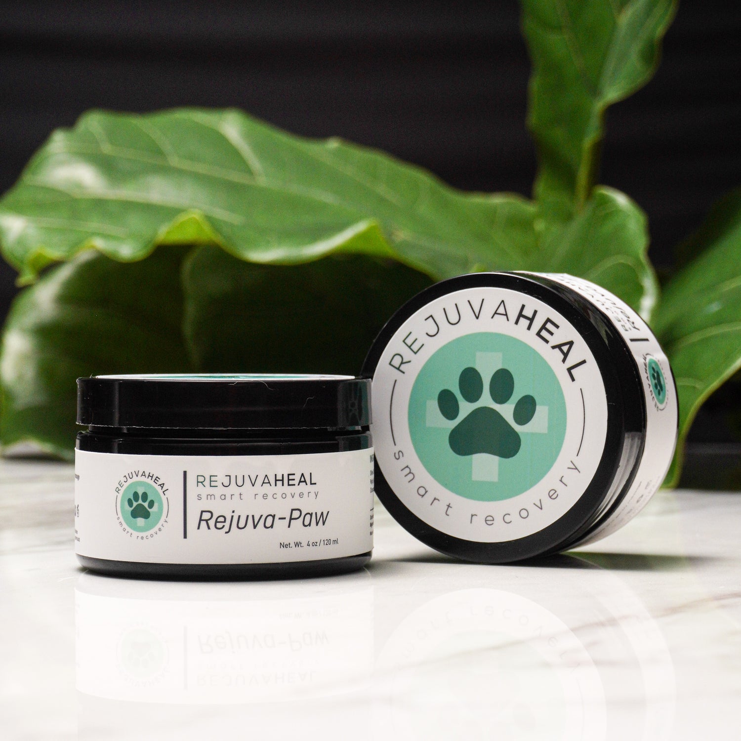 Rejuva-Paw